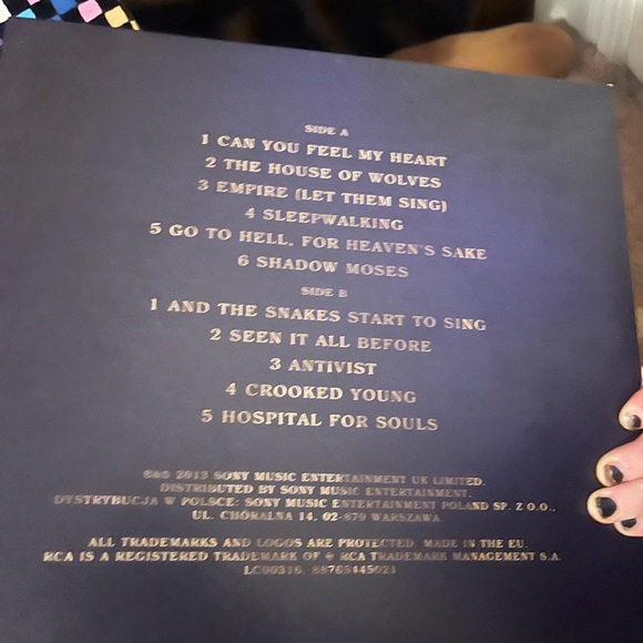 Sempiternal Vinyl - Picture 2 of 2